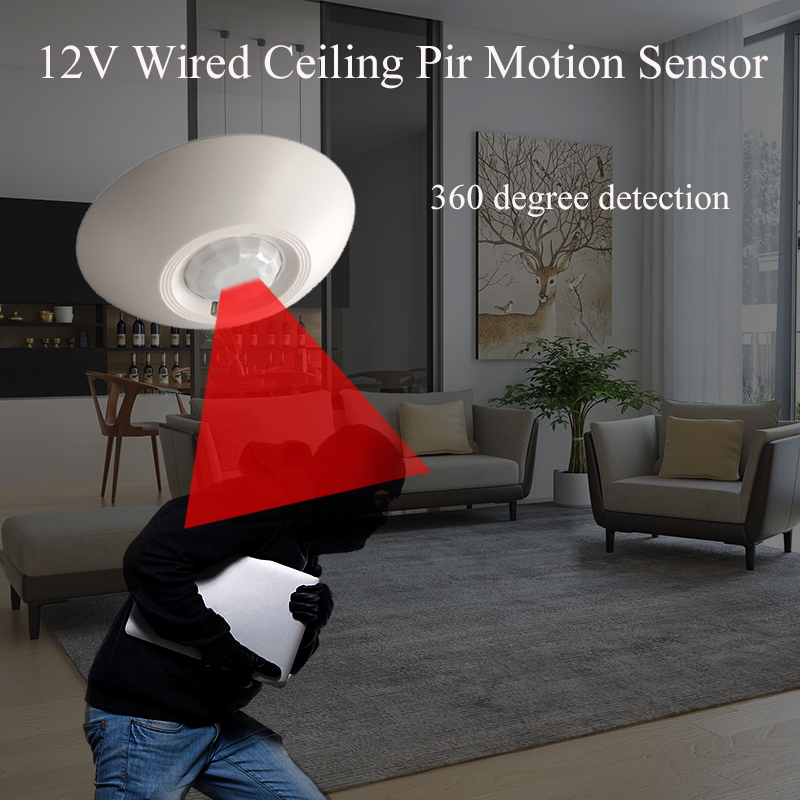 12V Wired PIR Motion Sensor Ce - Motion Sensor Pir Wired 리뷰 및 가격