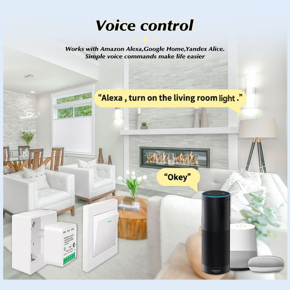 For Tuya Mini Smart WiFi Switc - Diy Automation 리뷰 및 가격