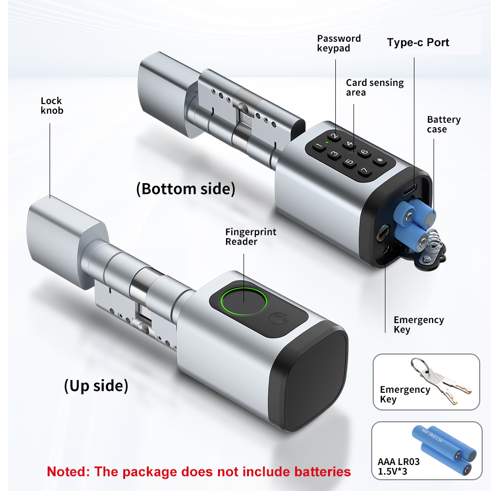 RAYKUBE V1 Tuya BLE TT Lock Sm - Home Automation System Diy 리뷰 및 가격