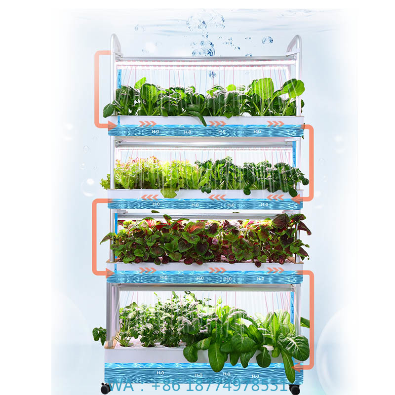 ydroponic Planting System Smar - Diy Home Automation System 리뷰 및 가격