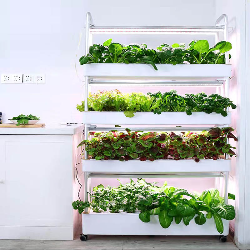 ydroponic Planting System Smar - Diy Home Automation System 리뷰 및 가격