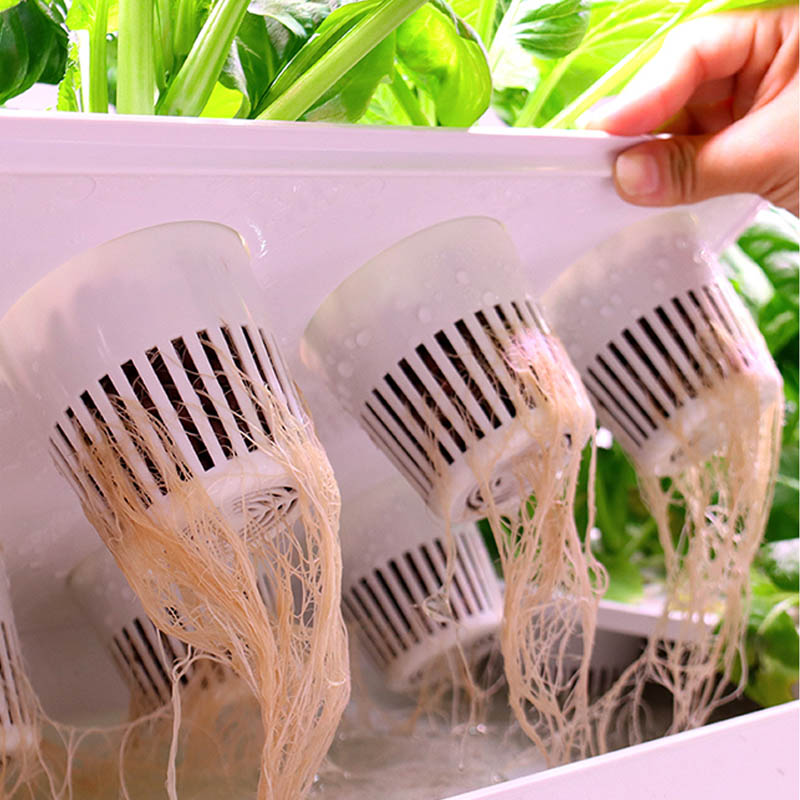 ydroponic Planting System Smar - Diy Home Automation System 리뷰 및 가격