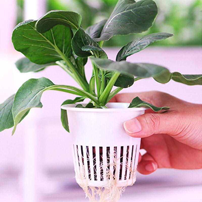 ydroponic Planting System Smar - Diy Home Automation System 리뷰 및 가격
