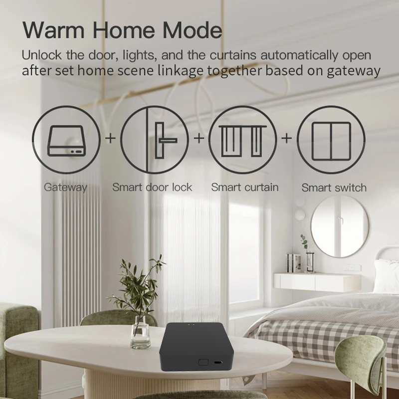 Work with Tuya Smart Zigbee+ B - Diy Home Automation Hub 리뷰 및 가격